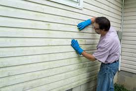 Affordable Siding Repair and Maintenance Services in Plattsmouth, NE